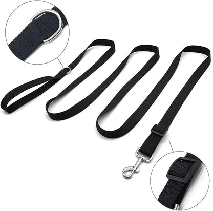 TAIAN Adjustable Nylon Dog Leash, 10 Foot Long Dog Leashes for Medium Large Dogs