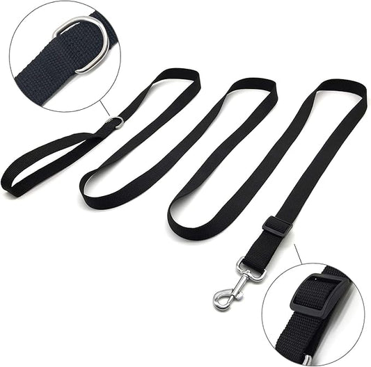 TAIAN Adjustable Nylon Dog Leash, 10 Foot Long Dog Leashes for Medium Large Dogs