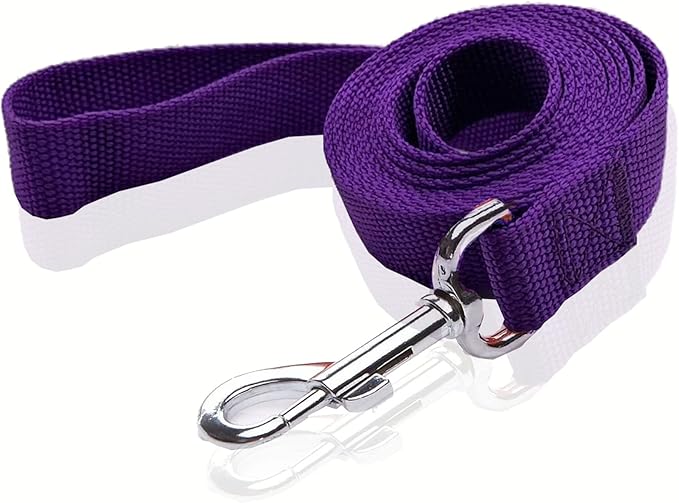 Nylon Dog Leash 8 Feet Long, Walking Training Dog Leashes for Medium Large Dogs(1" X 8 ft, Purple)