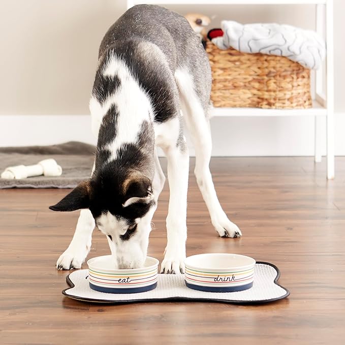 Bone Dry Ceramic Food Bowls, Non-Slip & Dishwasher Safe, Medium Set, 6x2 Eat/Drink
