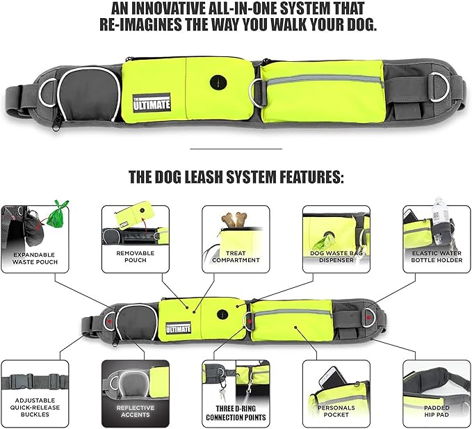 TAKSIN The Ultimate Hands Free Two Dogs Double Leash System for Walking Running Hiking Training, Reflective Bungee Leash, Treat Holder, Poop Bag Dispenser for Small Medium Large Dogs (Yellow Pack)