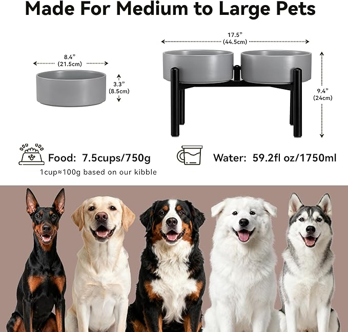 Dog Bowls Elevated - Ceramic Raised Dog Bowl with Non Slip Steel Stainless Stand - No Spill and Heated Feeding Station - Food and Water Dish Set for Medium to Large Pet - Each Holds 7.5 Cups – Grey