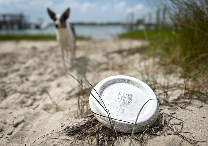 Frisbee, Floating, Waterproof, Lightweight, Durable Foam, Aerodynamic Disc for Medium and Large Dogs Puppy - Frisbee for Fetch, Catch, Play, 8.5” (White)