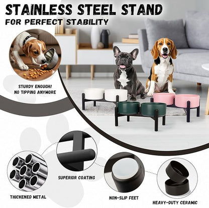 Raised Ceramic Dog Bowl Set - Elevated Double Dishes with Stainless Steel Stand - Food and Water Bowls for Small to Medium Dogs - Each Holds 2 Cups (28.75 fl oz) - Black
