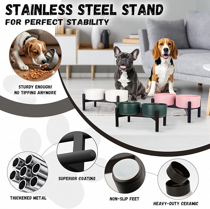 Raised Ceramic Dog Bowl Set - Elevated Double Dishes with Stainless Steel Stand - Food and Water Bowls for Small to Medium Dogs - Each Holds 2 Cups (28.75 fl oz) - Green