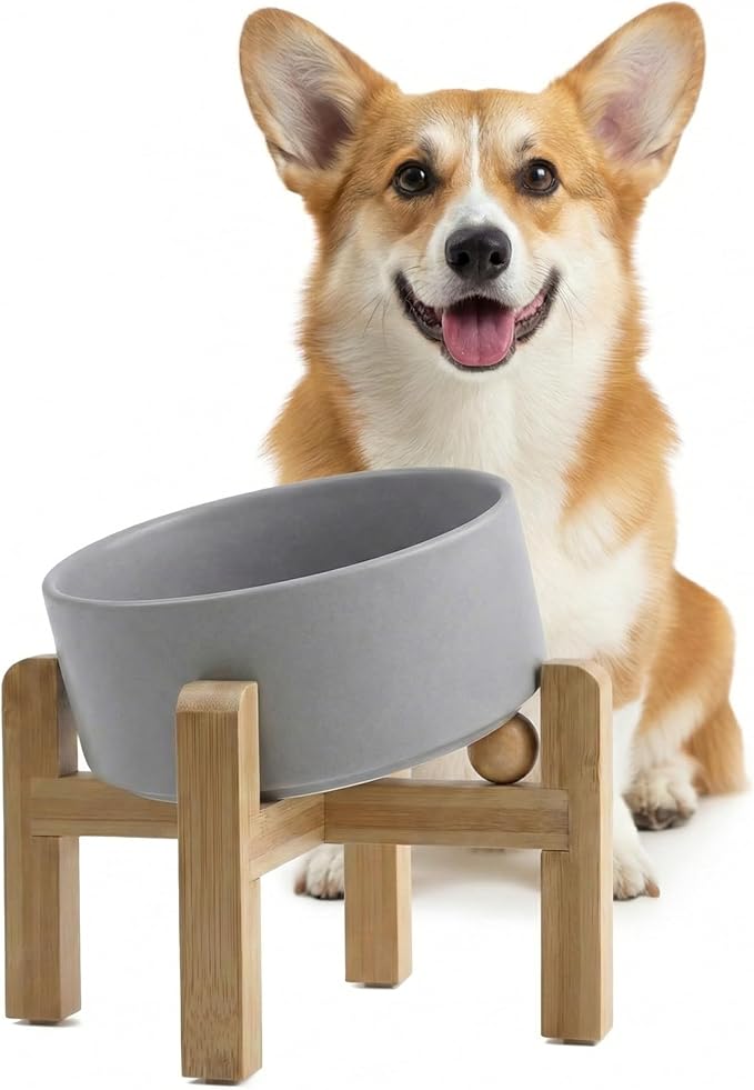 hjn Elevated Ceramic Dog Bowl 15°Slanted Raised Dog Bowl with Bamboo Stand for Small Medium Dogs and Cats, Pet Feeder-3.6-Cup (850ml)-Gray