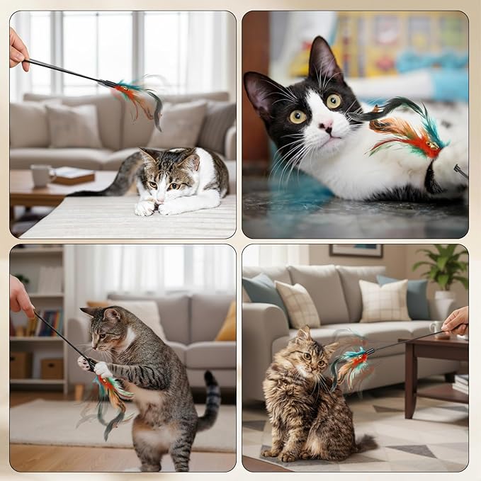 Leitee 50 Pcs Cat Wand Toy Feather Stick Cat Toy Bulk Feather Toys and Teaser Wand Bulk Interactive Stick for Indoor (Multi-Color)