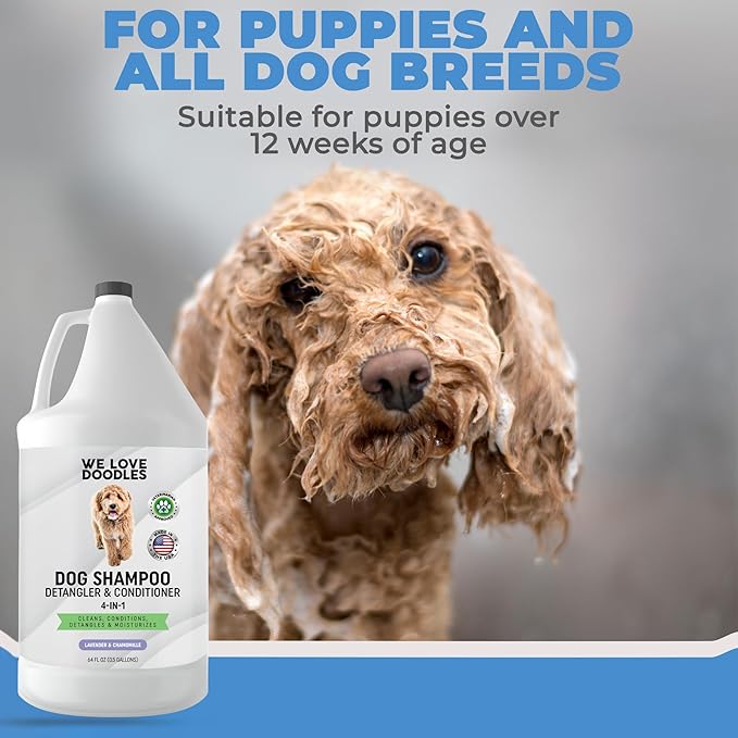 Dog Shampoo Half Gallon - Cleans, Conditions & Detangles, Goldendoodles, Poodles, & Doodle Shampoo - for Matted Pet Hair - Sensitive Skin Wash for Puppies - Made in The USA, 64OZ (Lavender)