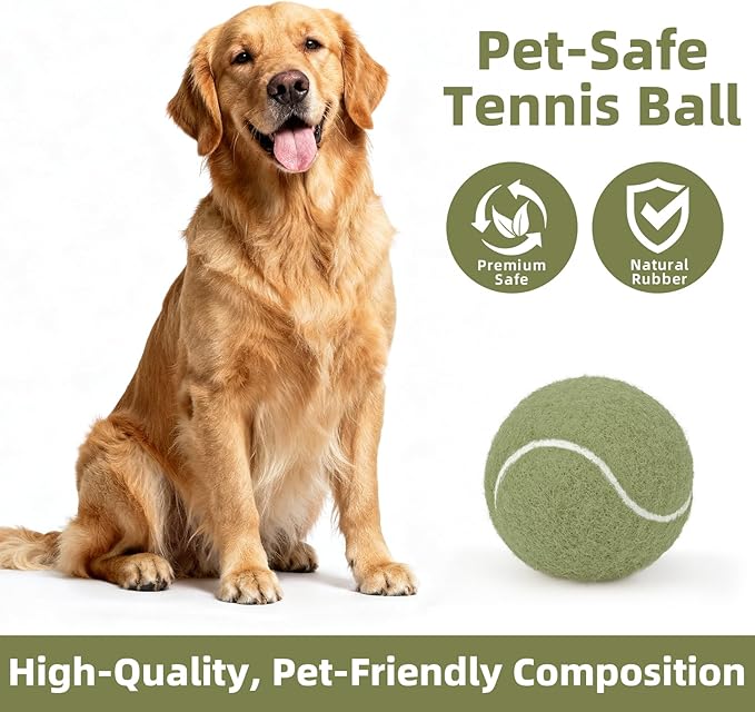 2.5" Dog Tennis Balls 6-Pack Silent Bounce, Tough Rubber Core, Durable Fetch & Training Toys for Indoor/Outdoor Play, for Small Medium Large Dogs (Misty Green, 6 Pack)