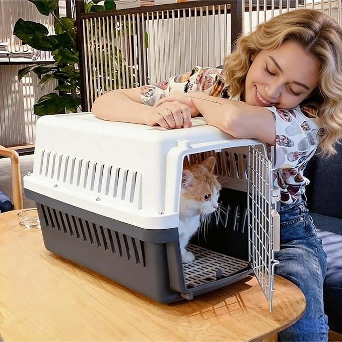 Basic Hard-Sided Dog and Cat Kennel, Beige Single-Door Travel Pet Carrier with Metal Wire Ventilation, 18.9" L x 12.6" W x 11.8" H