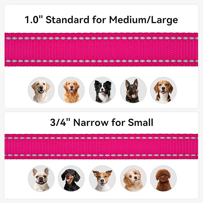 Joytale Dog Leash, 6 FT Double-Sided Reflective, Padded Handle Nylon Heavy Duty Leashes for Medium & Large Dogs Walking, Hotpink