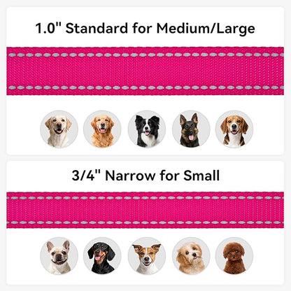 Joytale Dog Leash, 5 FT Double-Sided Reflective, Padded Handle Nylon Heavy Duty Leashes for Small Dogs Walking, Hotpink