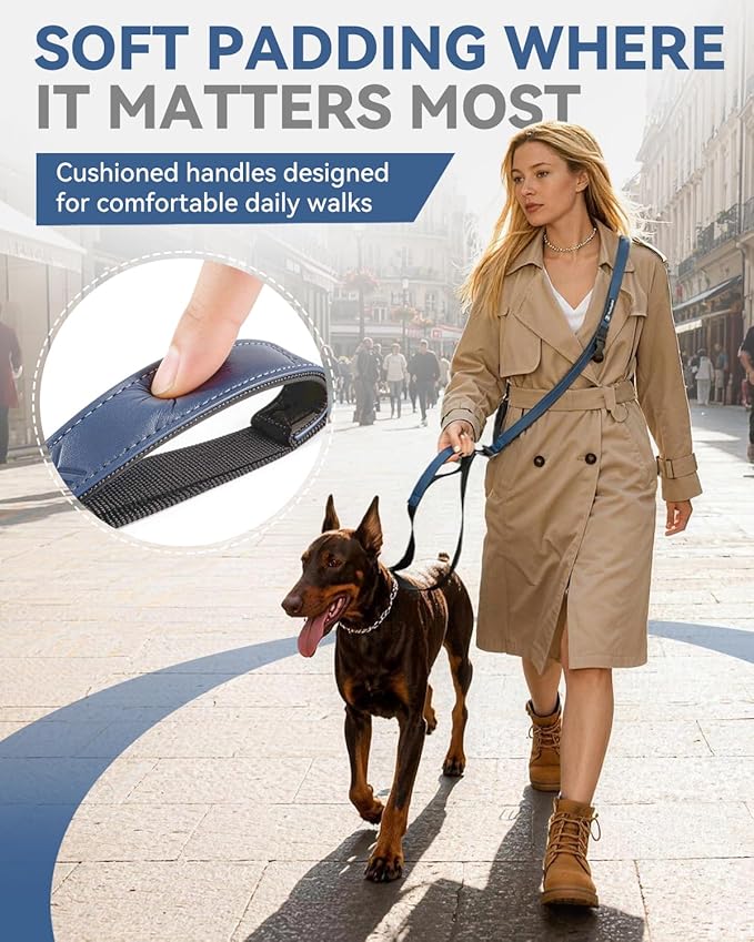 Reinforced Crossbody Dog Leash, 4–6ft Adjustable Multifunction Leash with Dual Padded Handles, Durable Nylon Lead Featuring Solid Metal Clips for Daily City & Park Walking