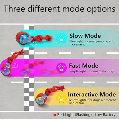 Interactive Dog Toy, Electric Dog Toy with Random Movement Trajectory and Rope Design, Rechargeable Dog Ball Suitable for Puppy