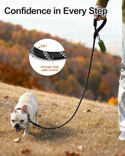 Joytale Dog Leash for Small Dogs, Heavy Duty Nylon Leashes with Comfortable Padded Handle and Highly Reflective Threads, Ideal for Walking and Training, Black, 5'×3/8''
