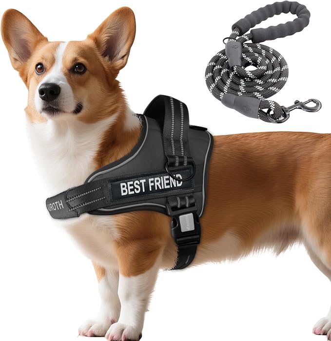 AUROTH Dog Harness and Leash Set, Soft Padded Service Dog Vest with 5.25FT Dog Leash, No Choke, Easy On Pet Vest, Adjustable Reflective No Pull Dog Harness Small Sized Dog, Easy Walking and Training