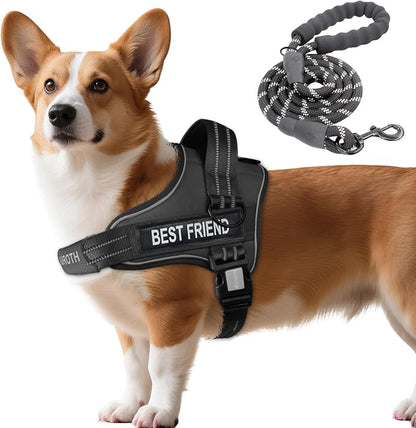 AUROTH Dog Harness and Leash Set, Soft Padded Service Dog Vest with 5.25FT Dog Leash, No Choke, Easy On Pet Vest, Adjustable Reflective No Pull Dog Harness Small Sized Dog, Easy Walking and Training