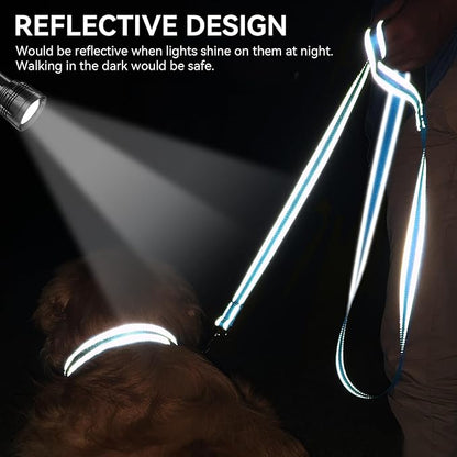 Joytale Dog Leash, 4 FT Double-Sided Reflective, Padded Handle Nylon Heavy Duty Leashes for Small Dogs Walking, SkyBlue