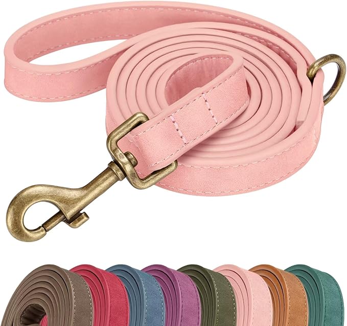 Didog Stylish PU Leather Dog Leash for Small Dogs, Easy to Clean 5ft Small Dog Leash with Metal Tangle-Free Clip, Cute and Fashionable for Walking, Running and Training,Pink, S
