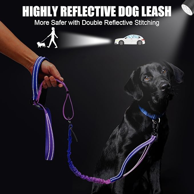 Heavy Duty Hands Free Dog Leash, 5-7 FT Reflective Adjustable Waist Dog Leash Belt with Padded Handles, Shock Absorbing Bungee and Car Seat Belt for Large Medium Dogs (Purple Blue, XL)