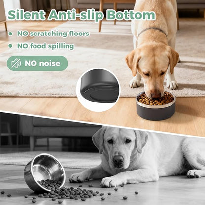 LIHONG Stainless Steel Dog Bowls for Small Medium Sized Dogs Non Slip,Insulated Dog Bowl,Pet Bowl for Food and Water,Rustproof(40oz,Black)