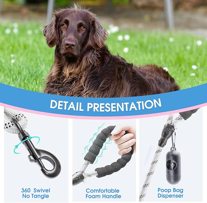 BAAPET 2/4/5/6 FT Dog Leash with Comfortable Padded Handle and Highly Reflective Threads for Small Medium and Large Dogs (4FT-1/2'', Silver)