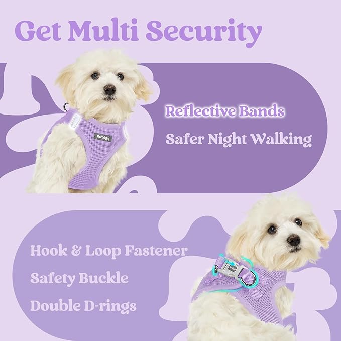 rabbitgoo Small Dog Harness, Step-in Soft Mesh Puppy Vest with Safety Buckle, Breathable Reflective Pet Harness for Small Medium Dogs, Light Purple XL