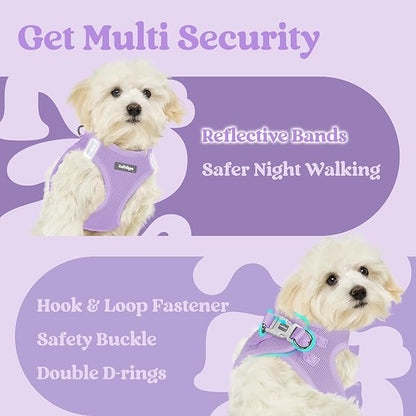 rabbitgoo Small Dog Harness, Step-in Soft Mesh Puppy Vest with Safety Buckle, Breathable Reflective Pet Harness for Small Medium Dogs, Light Purple XL