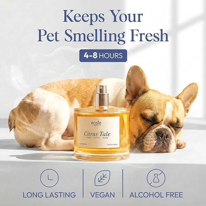 Dog Perfume Spray Long Lasting with Orange Blossom, Lavender, Vanilla Scent - Water-Based, Vegan Cologne - Luxury, Alcohol-Free Grooming Deodorizer for Dogs - Citrus Tale, 3.4 Fl Oz