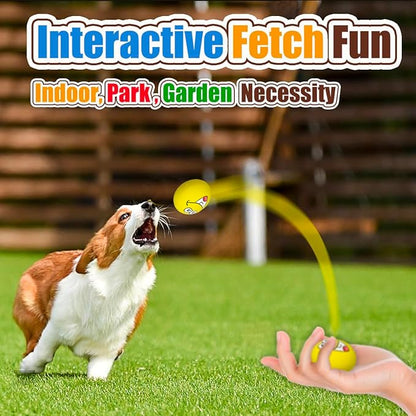 Squeaky Dog Toys for Small and Mini Dogs, Latex Soft Flat Puppy Teething Balls, Colorful Smile Face Interactive Chew Toys