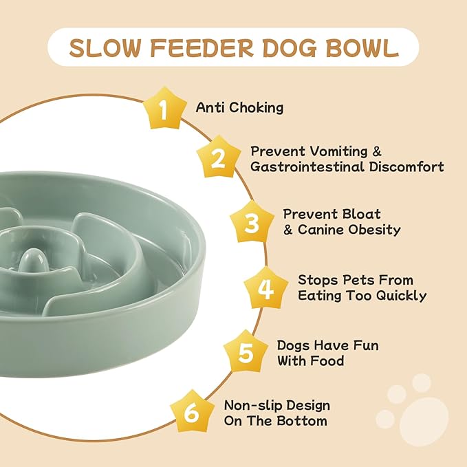 Ceramic 0.9 Cup Raised Slow Feeder Dog Bowl Set, Elevated 6.1inch Water Bowl and 6.1inch Slow Dish with Wooden Stand for Small Dogs(2 x Light Green+ Stand)