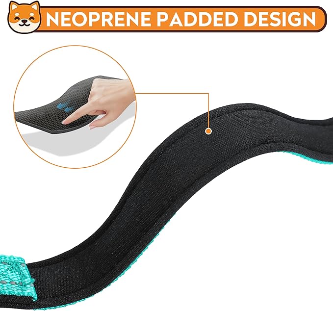 Reflective Dog Collar, Adjustable Soft Neoprene Padded Nylon Pet Collars with Buckle for Small Dogs, Teal,S