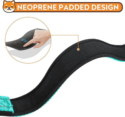 Reflective Dog Collar, Adjustable Soft Neoprene Padded Nylon Pet Collars with Buckle for Small Dogs, Teal,S
