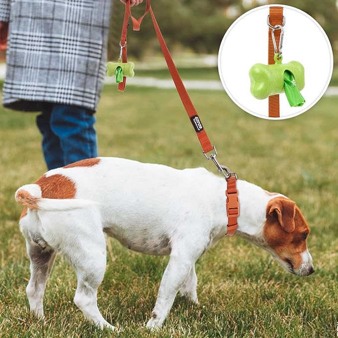 azuza 3 Pack Fall Nylon Dog Leashes Strong & Durable Basic Dog Leash with Easy to Use Collar Hook for Small Dogs, S (6FT,5/8")