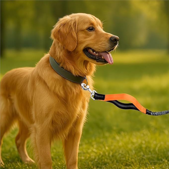 Hands-Free Dog Leash for Dogs up to 130 lbs – Heavy-Duty, Shock-Absorbing Bungee Leash with Zipper Pouch, Dual Padded Handles & Adjustable Waist Belt for Running & Walking – Bright Orange