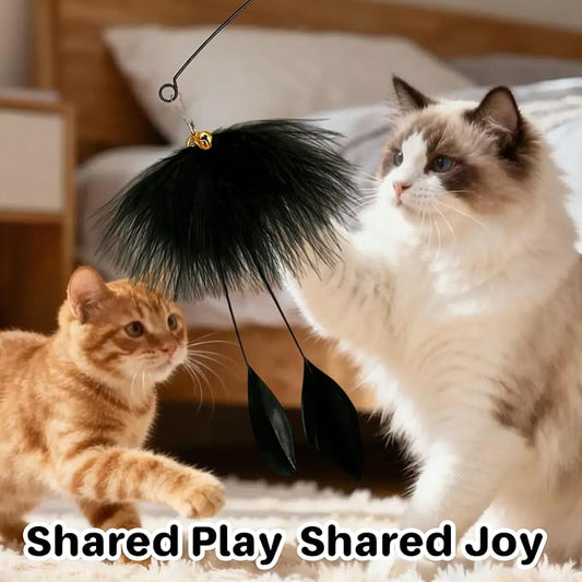 Walfront Interactive Cat Toy with Black Feather, Natural Feathers for Cats, Engaging & Energy-Boosting Fun Cat Exercise Toy for Active Cats & Kittens, Durable & Safe for Pets