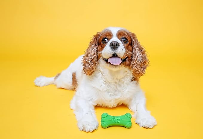 HARTZ Dura Play Soft Dog Bone Toy, Assorted Colors, 1 Ea, for Medium breeds
