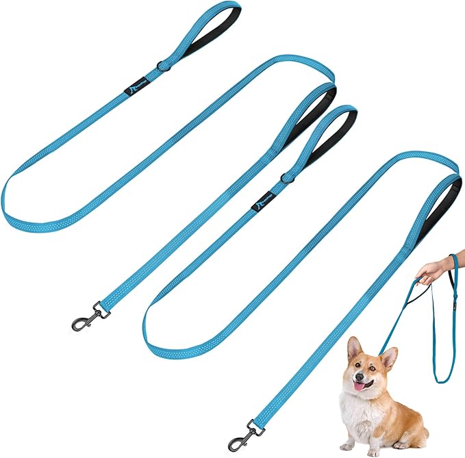 PuppyDoggy 2 Pack Dog Leash for Small to Medium Dogs 6 ft with 3 Reflective Stitching and 2 Traffic Padded Handles Dog Lead/Rope, Pet Leash for Running Walking Training (6 ft x 0.6 in - Blue 2 Pack)