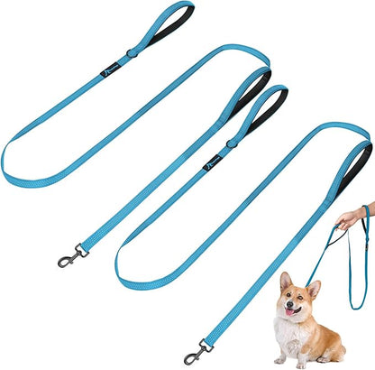 PuppyDoggy 2 Pack Dog Leash for Small to Medium Dogs 6 ft with 3 Reflective Stitching and 2 Traffic Padded Handles Dog Lead/Rope, Pet Leash for Running Walking Training (6 ft x 0.6 in - Blue 2 Pack)