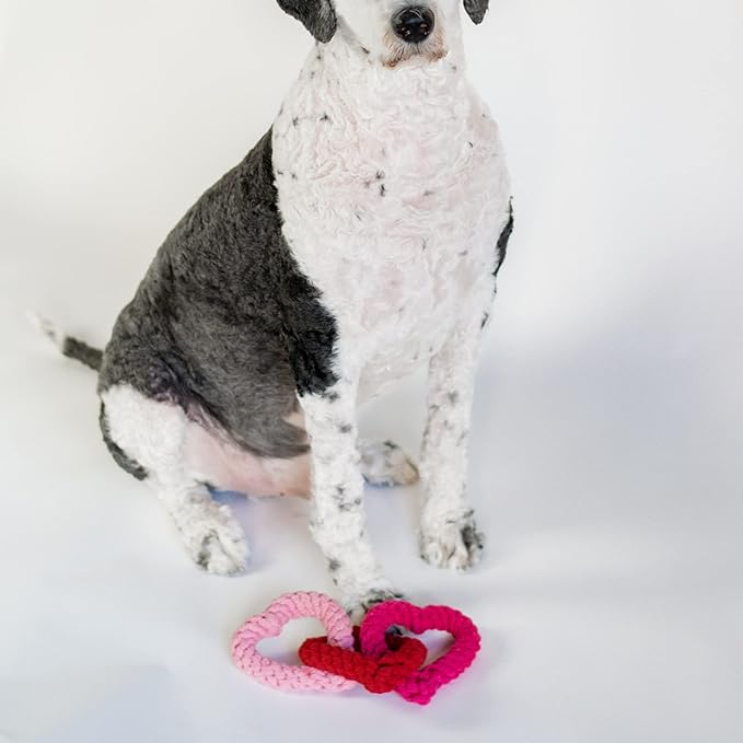 Midlee Interlocking Heart Rope Valentine Dog Toy - 6"- Pink Red Small Tug Toy