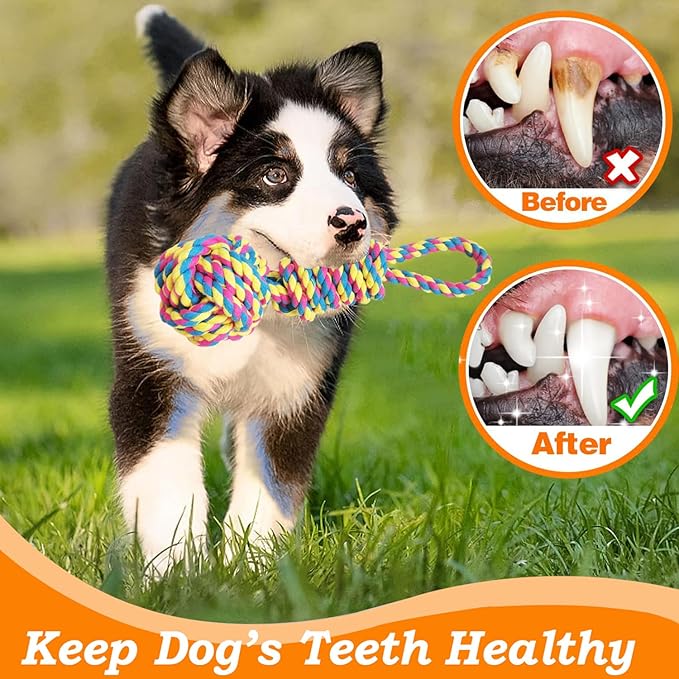 Dog Bungee Hanging Toy, Spring Pole Rope Pull & Tug of War Toy for Aggressive Chewers Middle Large Dogs to Exercise Solo Play, Interactive Tether Tug Outdoor Dog Toy with 2 Chew Ropes