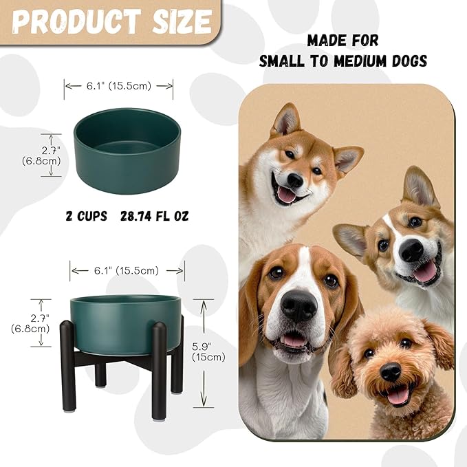 Raised Ceramic Dog Bowl - Elevated Food Water Dish with Stainless Steel Stand - for Small to Medium Dogs - 6 Inch - 2 Cups (28.75 fl oz) - Green