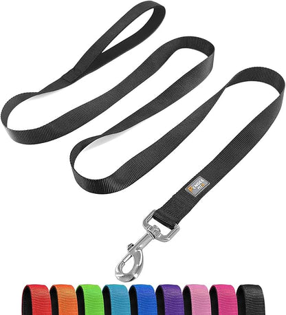 Basic Dog Leashes 6 FT Padded Handle Nylon Dogs Leashes for Large Dogs Black