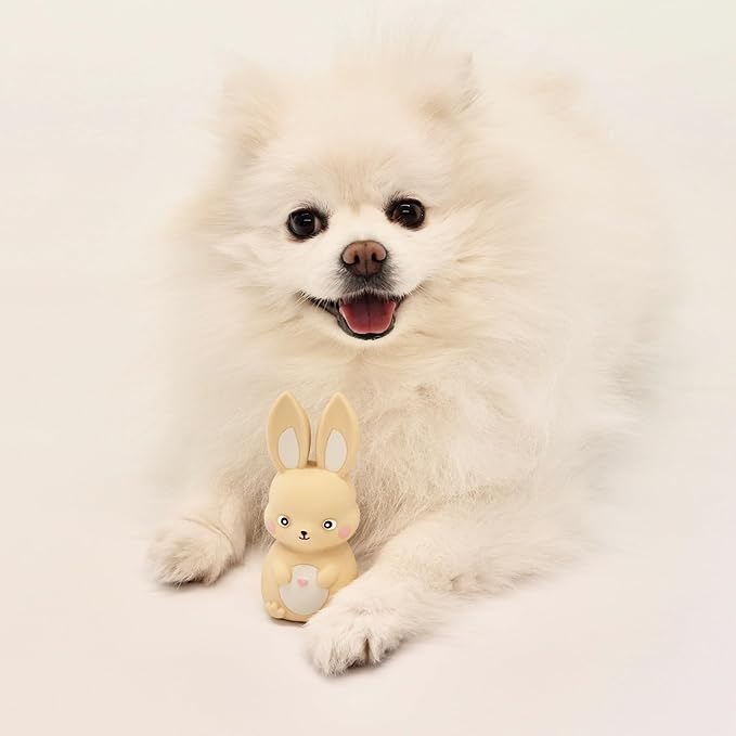 Rubber Squeaky Dog Toys, Latex Dog Squeaky Toys, Easter Bunny Dog Toy, Love Struck Bunny, Small (Beige)