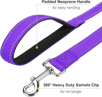 Reflective Dog Leash 6ft Soft Padded Handle Nylon Lead for Small & Medium Dogs, Durable Walking Training Leash for Night Safety (Purple,3/4Inch Wide)