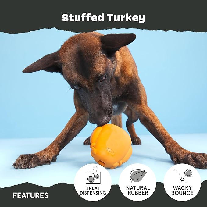 Barkbox BARK Stuffed Turkey Dog Toy | Natural Rubber, Treat Dispensing, Perfect for Peanut Butter | Dog Toy for Aggressive Chewers