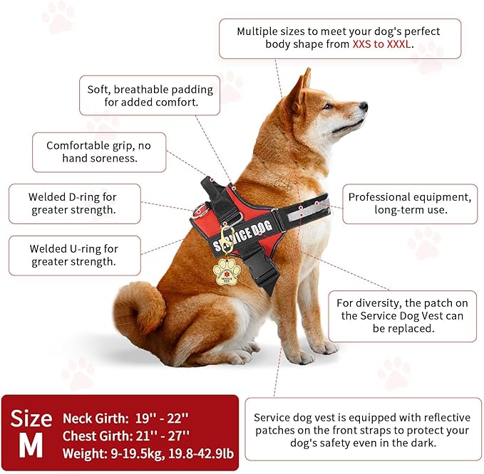 Service Dog Vest, ID Tag + 50 ADA Information Cards, Service Dog Harness w Patch in Sizes X Small to XX Large, Ruggedized Metal Tag, Service Animal Information Cards, ESA Accessory Set Medium