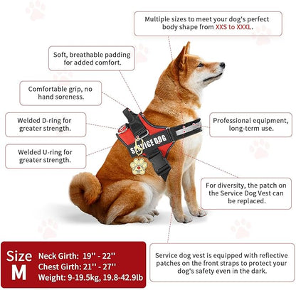 Service Dog Vest, ID Tag + 50 ADA Information Cards, Service Dog Harness w Patch in Sizes X Small to XX Large, Ruggedized Metal Tag, Service Animal Information Cards, ESA Accessory Set Medium