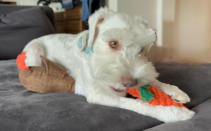 Durable Dog Chew Toys – 3 Carrot Dog Toy and Rope Chew Toys, Interactive Carrot Toy for Teething, Small and Medium Breeds, Tough Chew Toy for Training and Dental Health.
