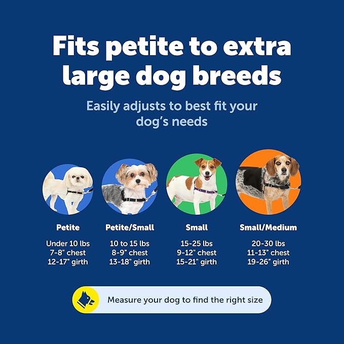 PetSafe Easy Walk No-Pull Dog Harness - The Ultimate Harness to Help Stop Pulling - Take Control & Teach Better Leash Manners - Helps Prevent Pets Pulling on Walks, Medium, Apple Green/Gray